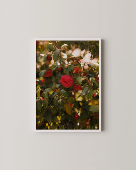 Bloom Print- Wall Art -Paperhus- Printable wall art - Instant downloads - DIY home decor -Paperhus