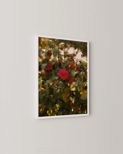 Bloom Print- Wall Art -Paperhus- Printable wall art - Instant downloads - DIY home decor -Paperhus