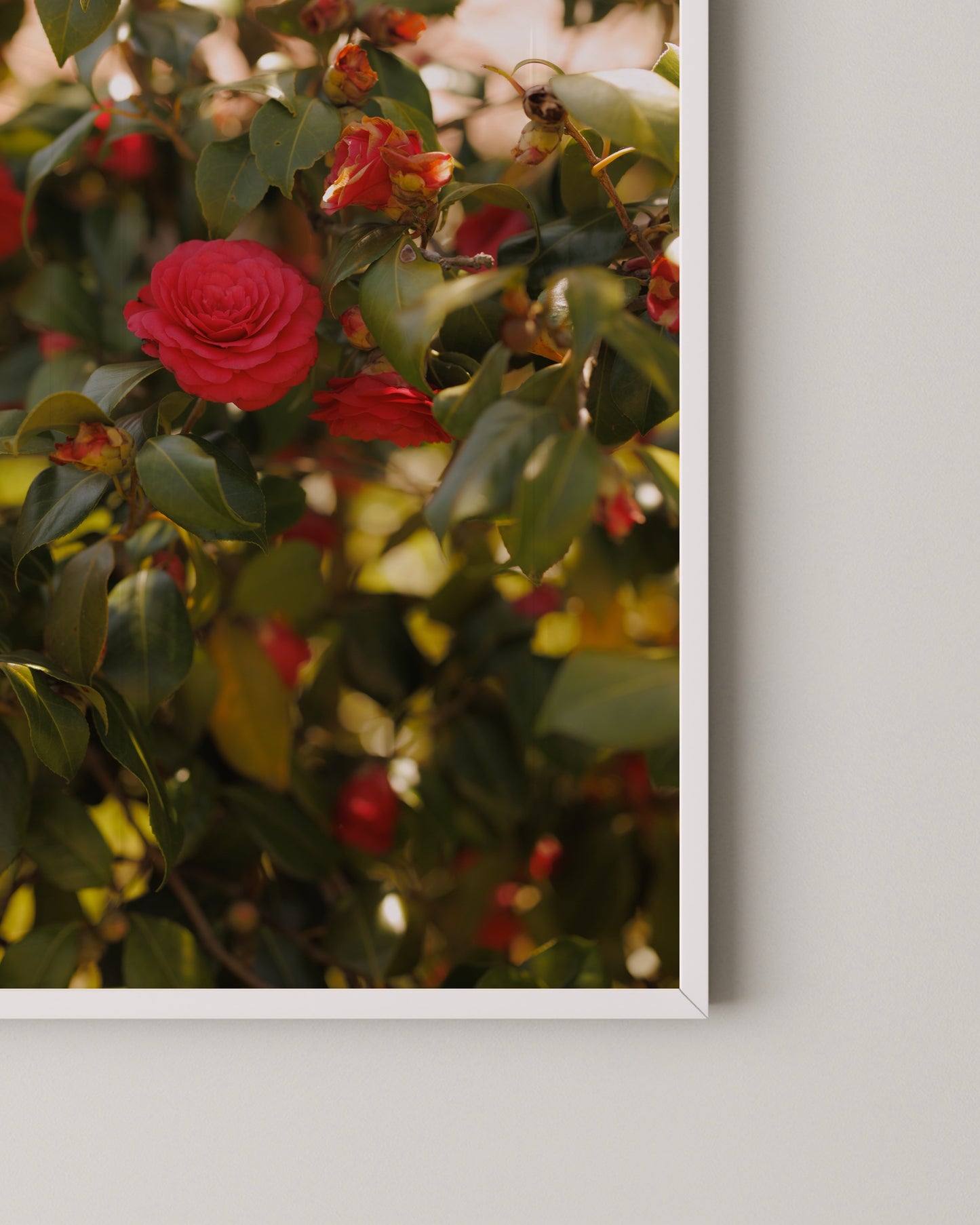 Bloom Print- Wall Art -Paperhus- Printable wall art - Instant downloads - DIY home decor -Paperhus