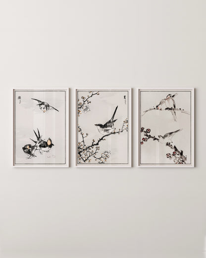 Japanese Bird Set- Wall Art -Paperhus- Printable wall art - Instant downloads - DIY home decor -Paperhus
