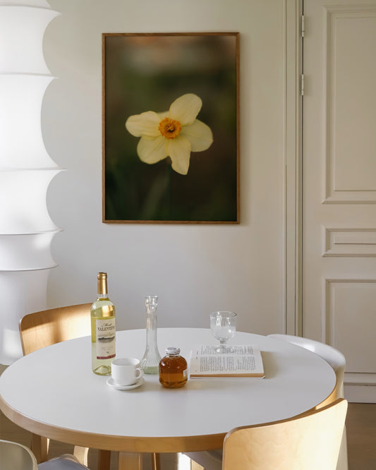 Countryside Studies. Daffodil printable wall art by Paperhus