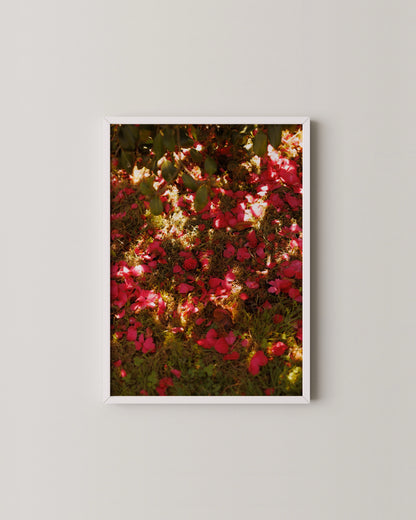 Santillana del Mar | 3 Print Photography Set