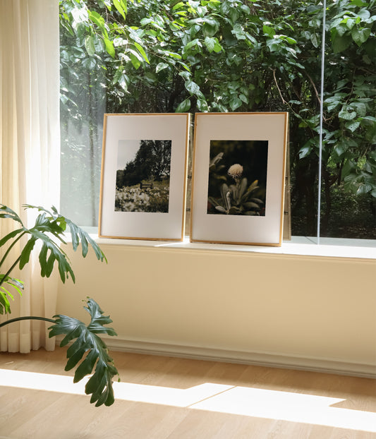 Botanical Photography Set Of 2