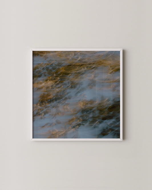 Nature Print