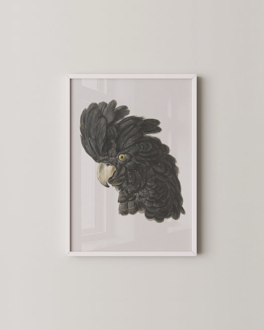 Black Cockatoo Print