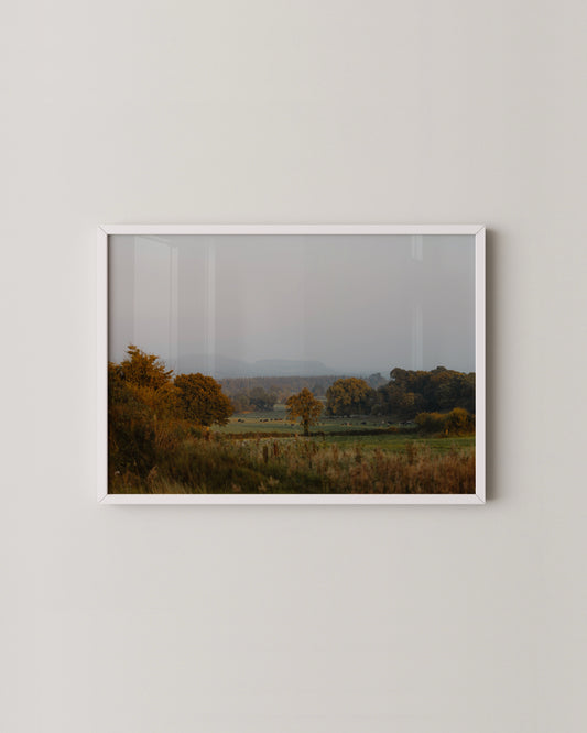 Irish Landscape Print