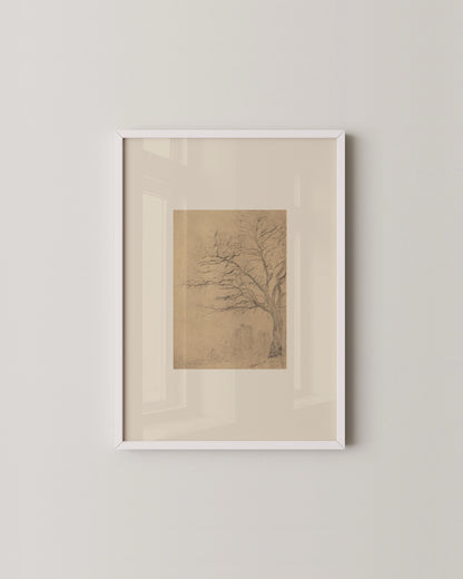 Tree Study Sketch Print