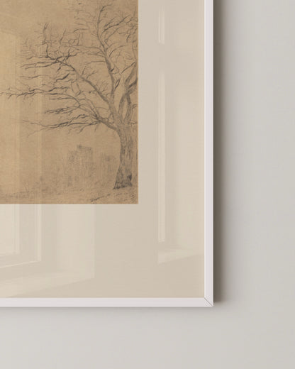 Tree Study Sketch Print