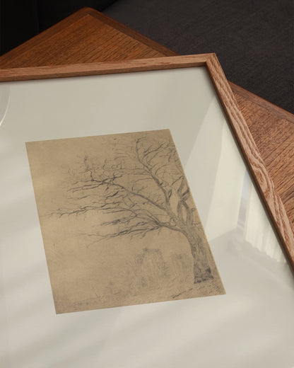 Tree Study Sketch Print