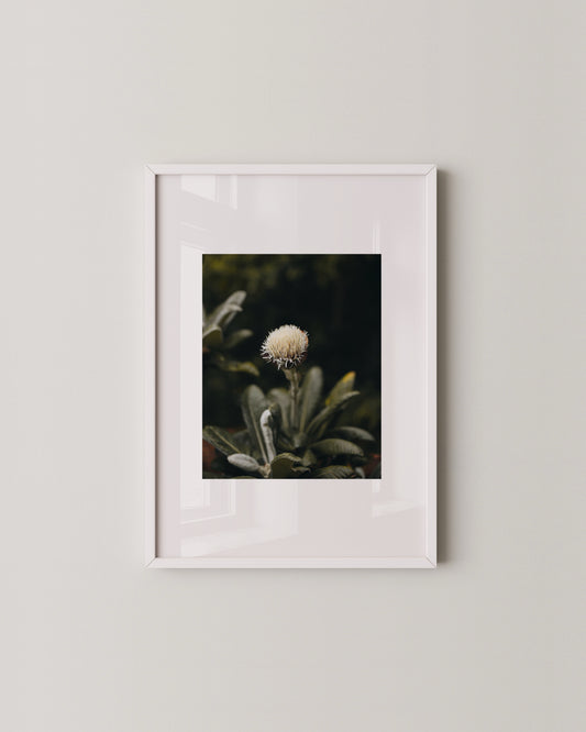 Moody Botanical Flower Print