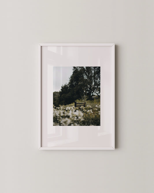 Bench in Bloom Print
