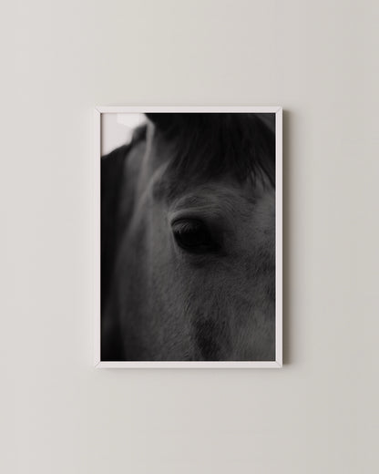 Horse Portrait Print- Wall Art -Paperhus- Printable wall art - Instant downloads - DIY home decor -Paperhus