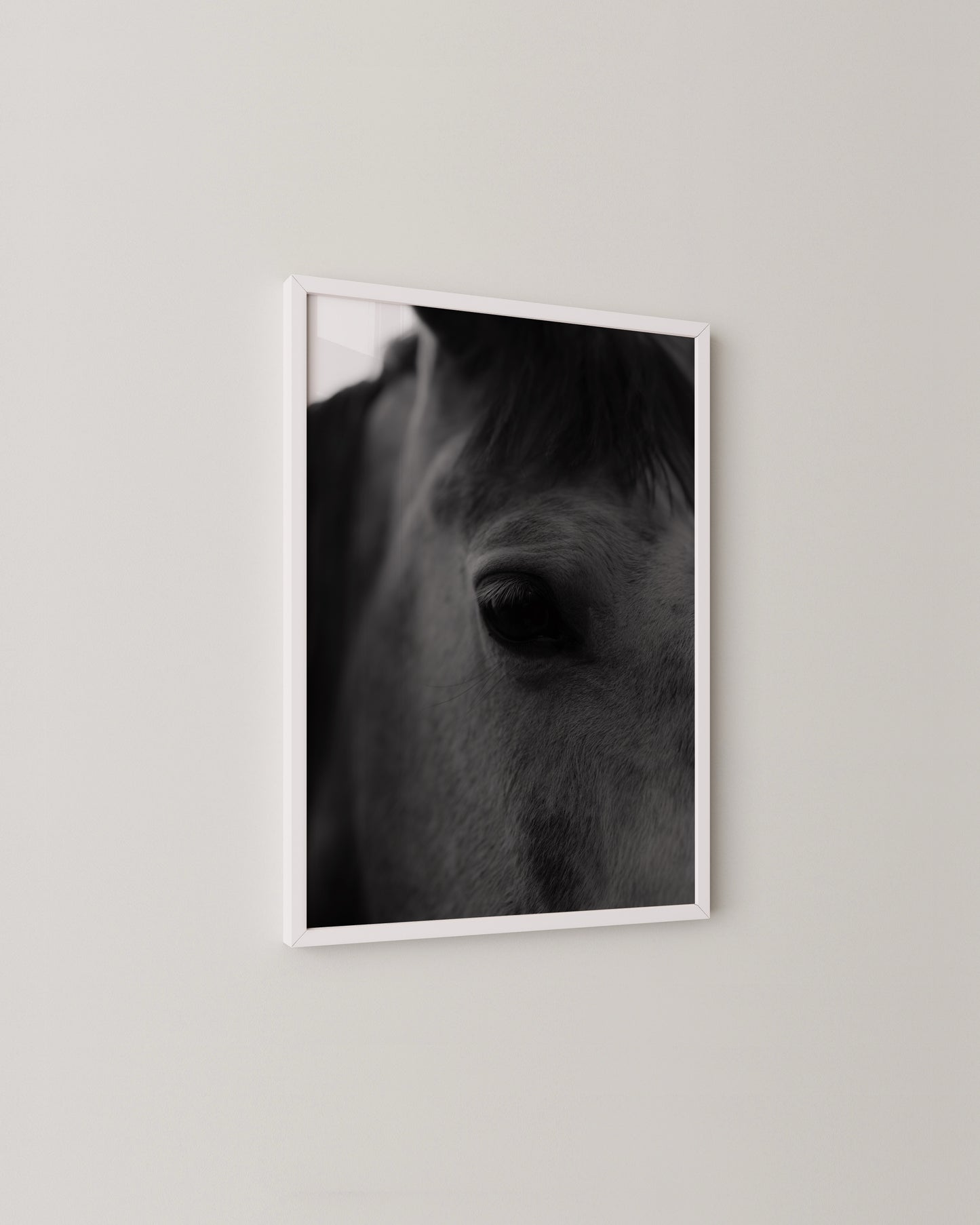 Horse Portrait Print- Wall Art -Paperhus- Printable wall art - Instant downloads - DIY home decor -Paperhus