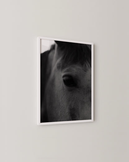 Horse Portrait Print- Wall Art -Paperhus- Printable wall art - Instant downloads - DIY home decor -Paperhus