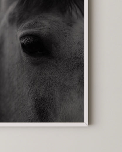 Horse Portrait Print- Wall Art -Paperhus- Printable wall art - Instant downloads - DIY home decor -Paperhus