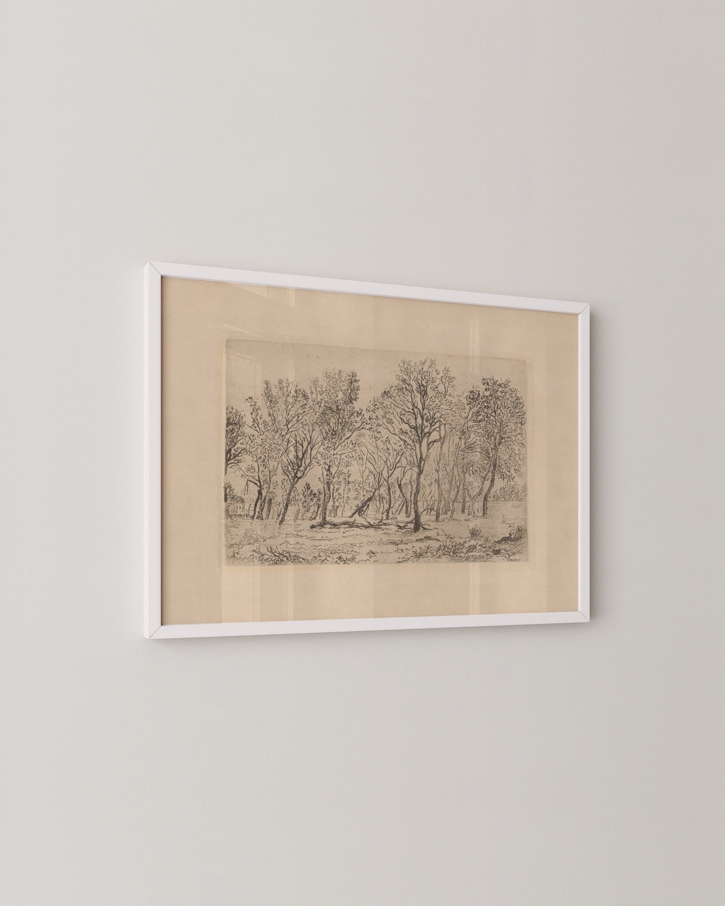 Antique Tree Etching Print- Wall Art -Paperhus- Printable wall art - Instant downloads - DIY home decor -Paperhus