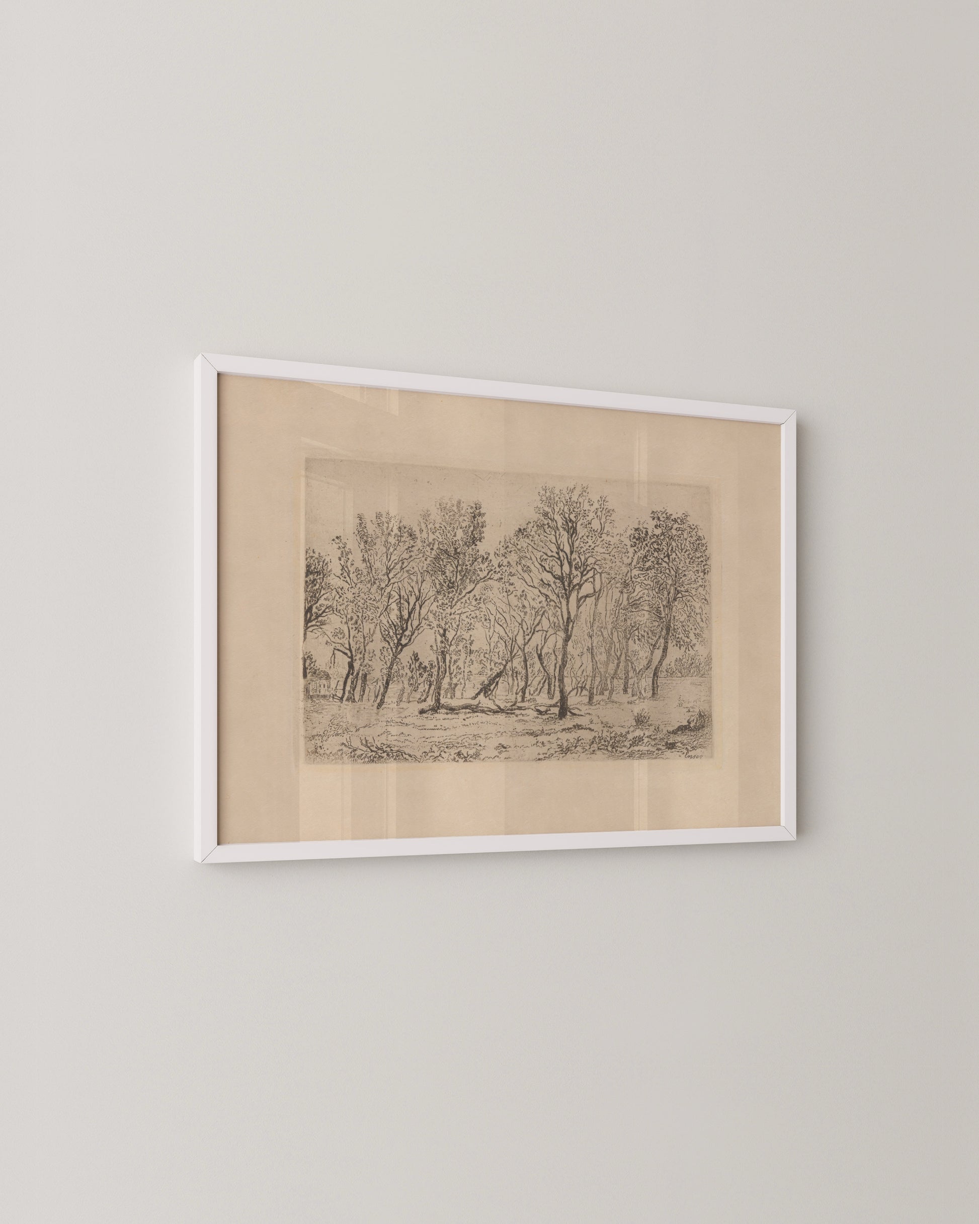 Antique Tree Etching Print- Wall Art -Paperhus- Printable wall art - Instant downloads - DIY home decor -Paperhus