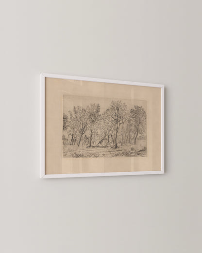 Antique Tree Etching Print- Wall Art -Paperhus- Printable wall art - Instant downloads - DIY home decor -Paperhus