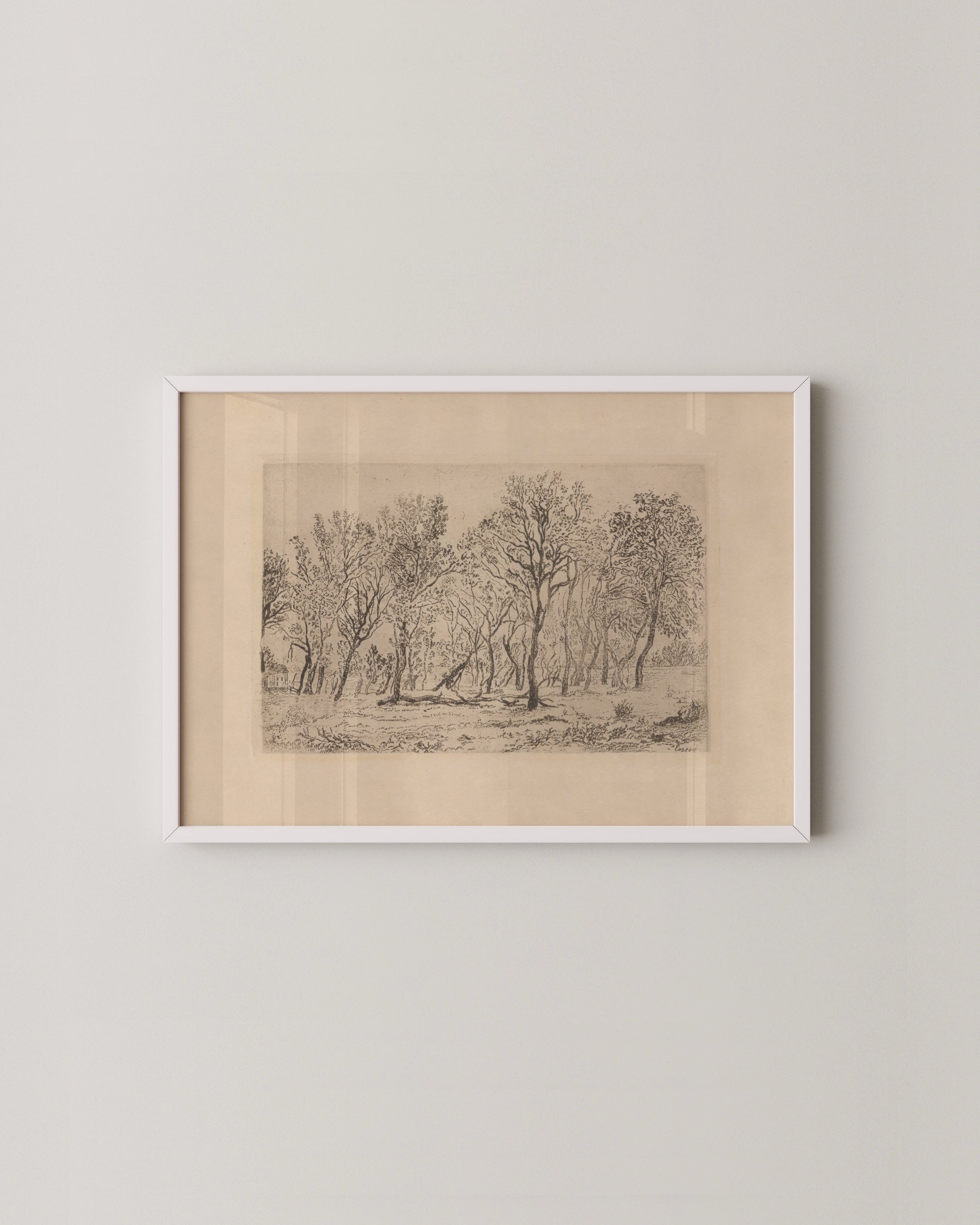 Antique Tree Etching Print- Wall Art -Paperhus- Printable wall art - Instant downloads - DIY home decor -Paperhus