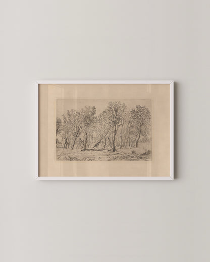Antique Tree Etching Print- Wall Art -Paperhus- Printable wall art - Instant downloads - DIY home decor -Paperhus