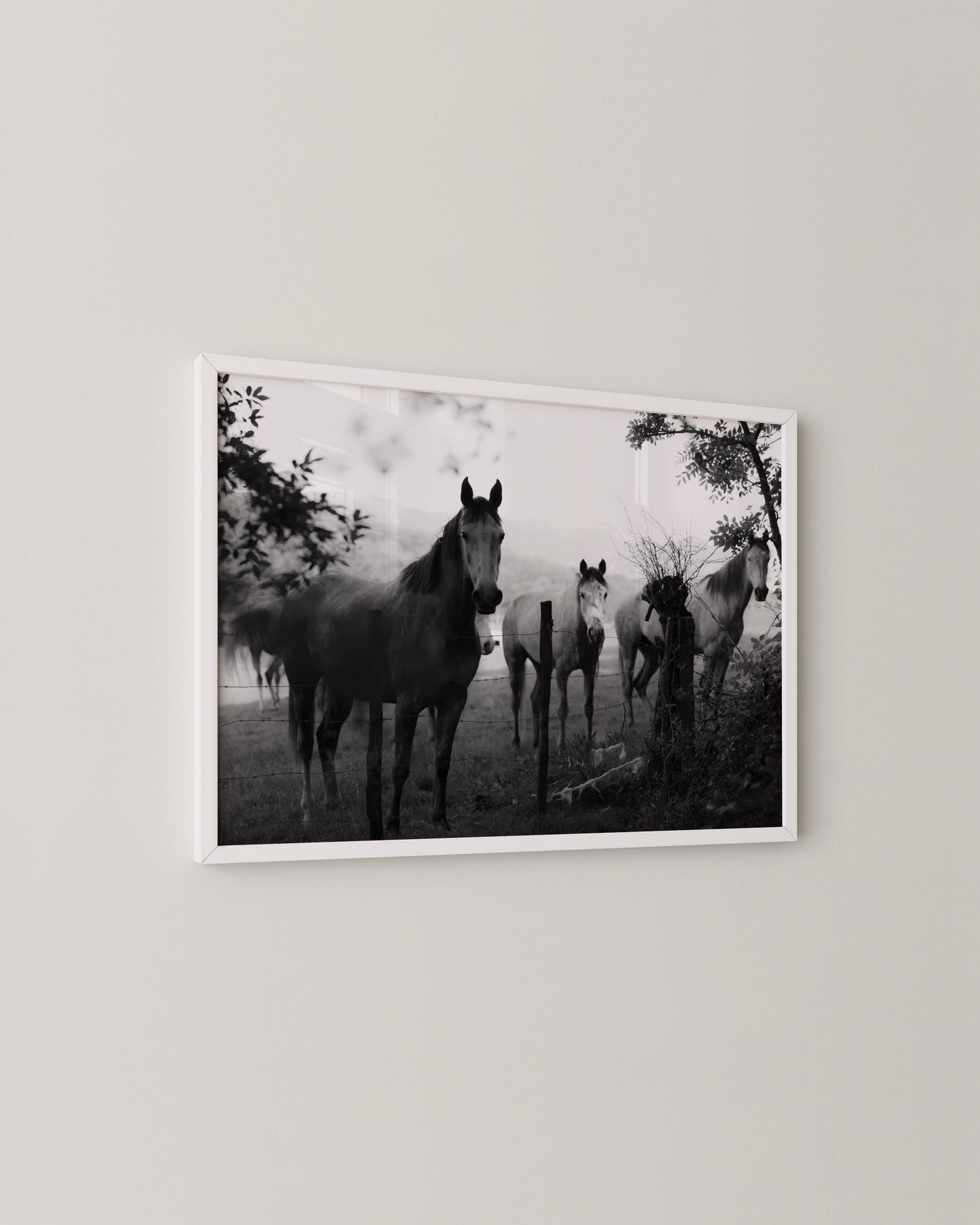 Horse Photography Print- Wall Art -Paperhus- Printable wall art - Instant downloads - DIY home decor -Paperhus
