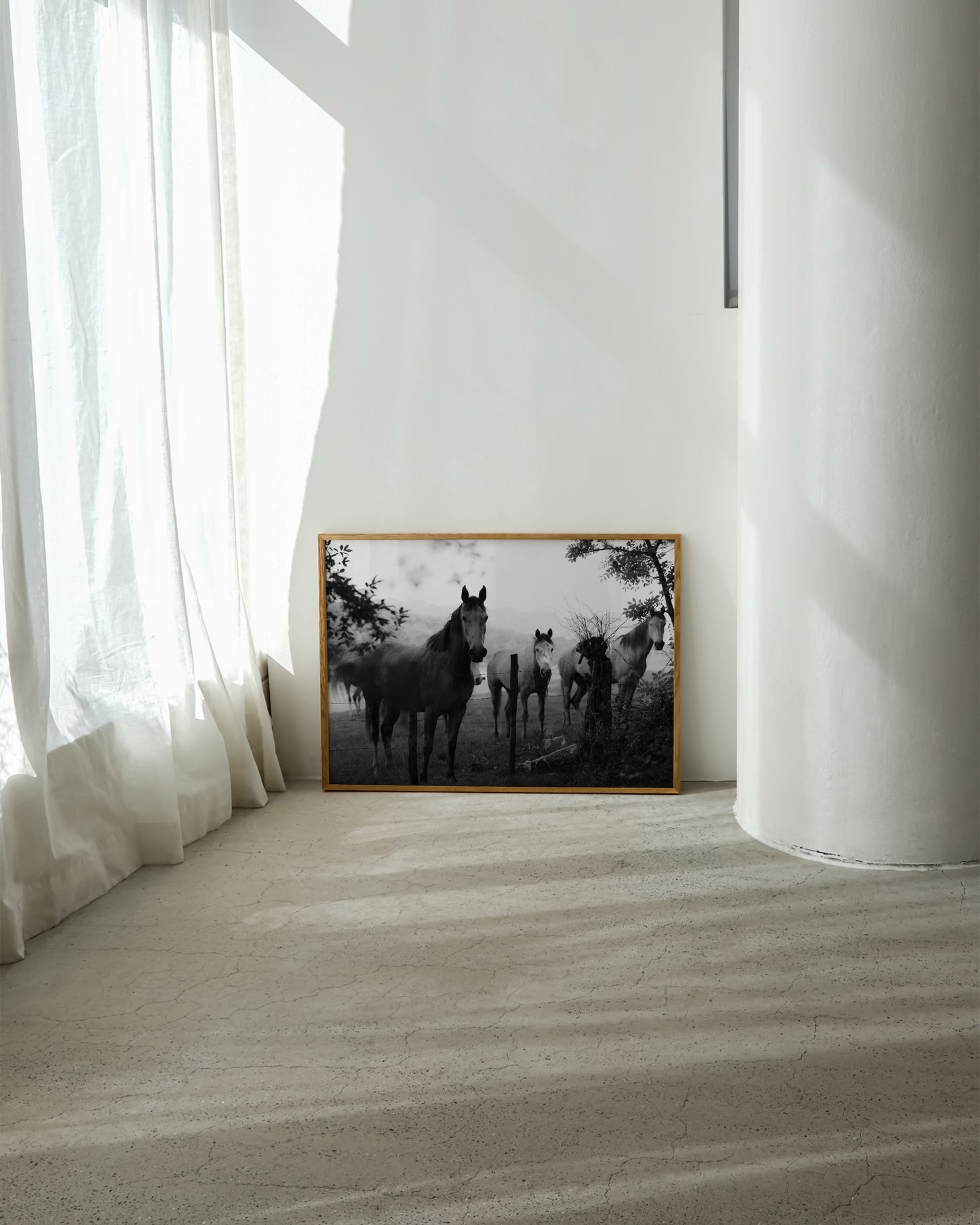 Horse Photography Print- Wall Art -Paperhus- Printable wall art - Instant downloads - DIY home decor -Paperhus