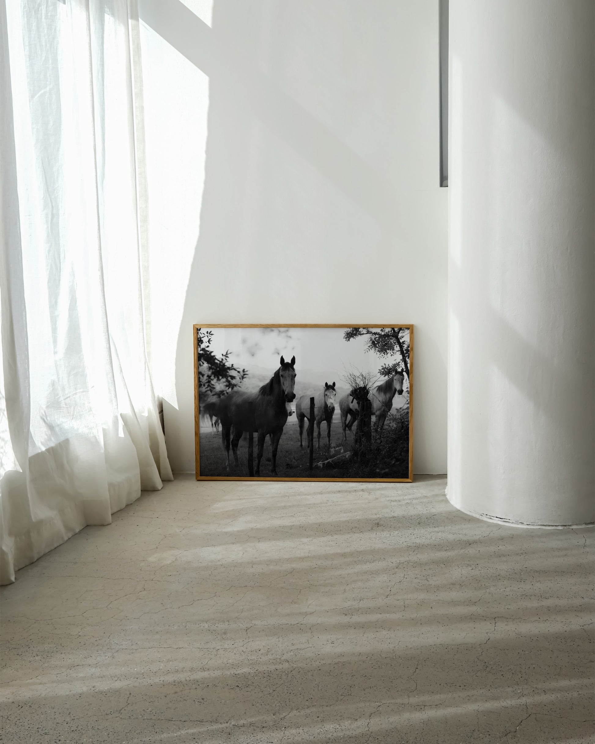 Horse Photography Print- Wall Art -Paperhus- Printable wall art - Instant downloads - DIY home decor -Paperhus