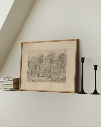 Antique Tree Etching Print- Wall Art -Paperhus- Printable wall art - Instant downloads - DIY home decor -Paperhus
