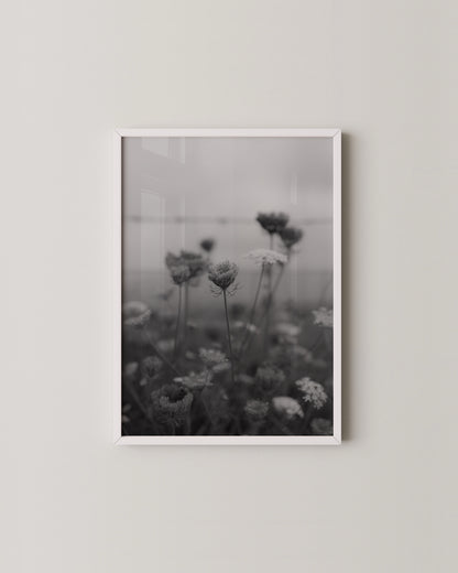 Wildflower Print- Wall Art -Paperhus- Printable wall art - Instant downloads - DIY home decor -Paperhus