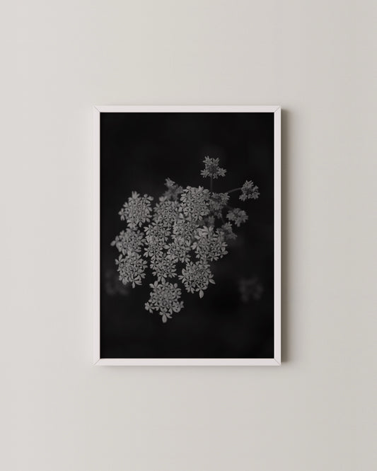 Floral Photography Print- Wall Art -Paperhus- Printable wall art - Instant downloads - DIY home decor -Paperhus