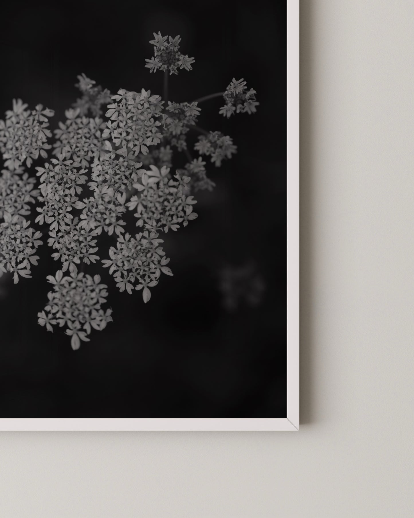 Floral Photography Print- Wall Art -Paperhus- Printable wall art - Instant downloads - DIY home decor -Paperhus