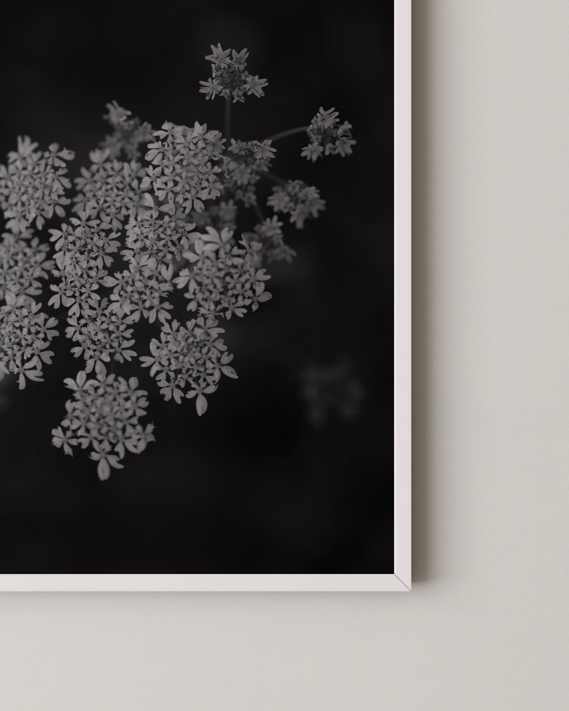 Floral Photography Print- Wall Art -Paperhus- Printable wall art - Instant downloads - DIY home decor -Paperhus