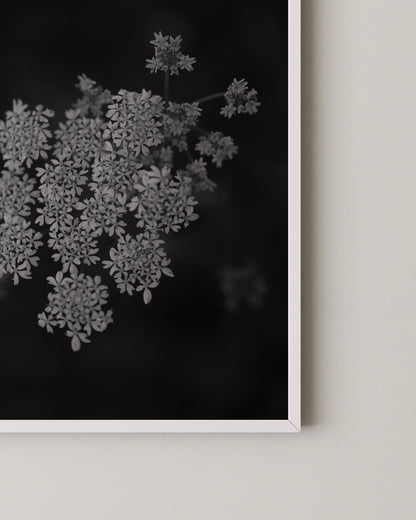Floral Photography Print- Wall Art -Paperhus- Printable wall art - Instant downloads - DIY home decor -Paperhus