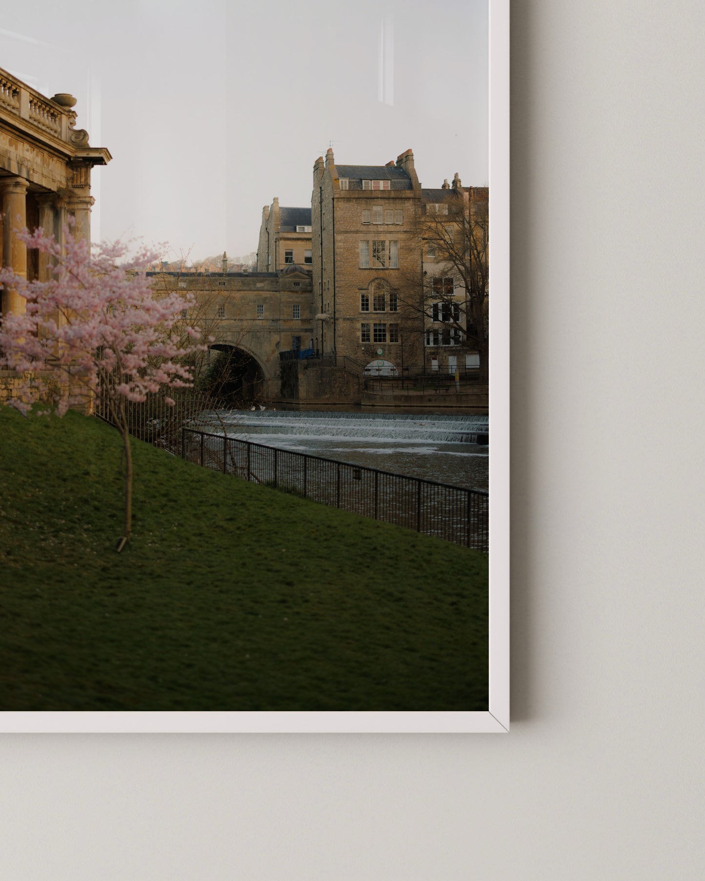 Spring Blossom by the River | Bath England Fine Art Photography Print