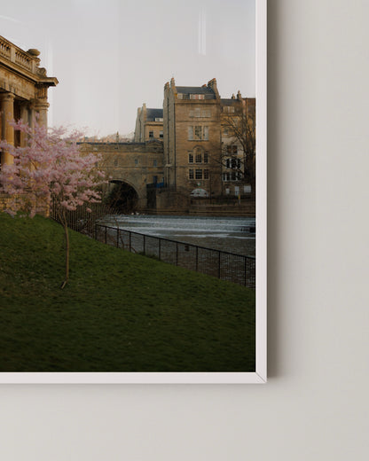 Spring Blossom by the River | Bath England Fine Art Photography Print