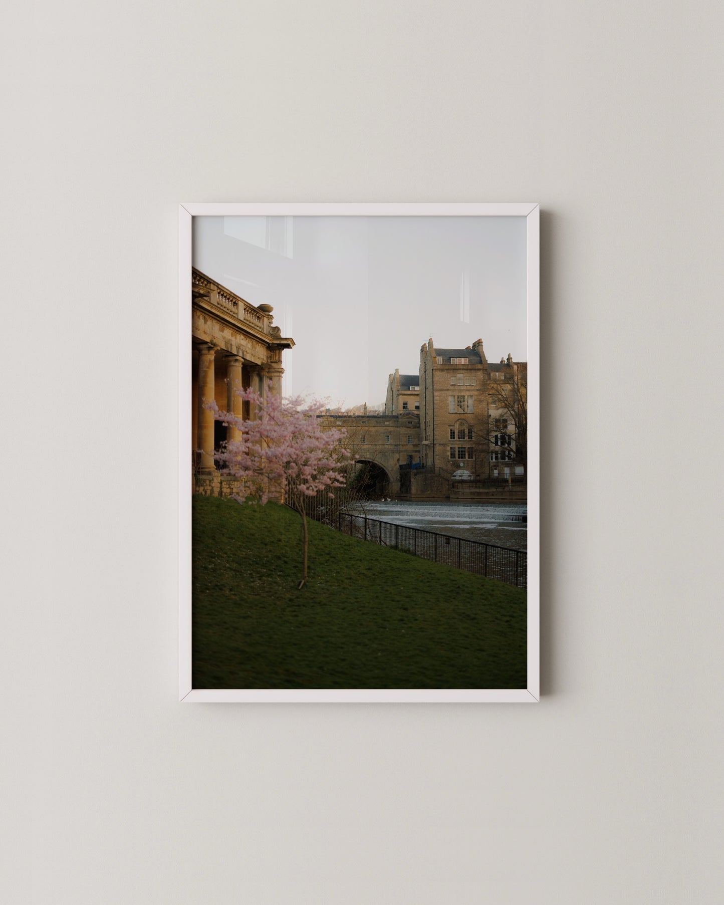Spring Blossom by the River | Bath England Fine Art Photography Print