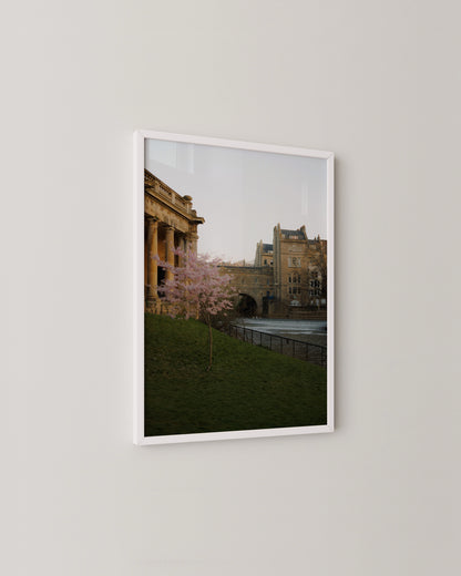 Spring Blossom by the River | Bath England Fine Art Photography Print