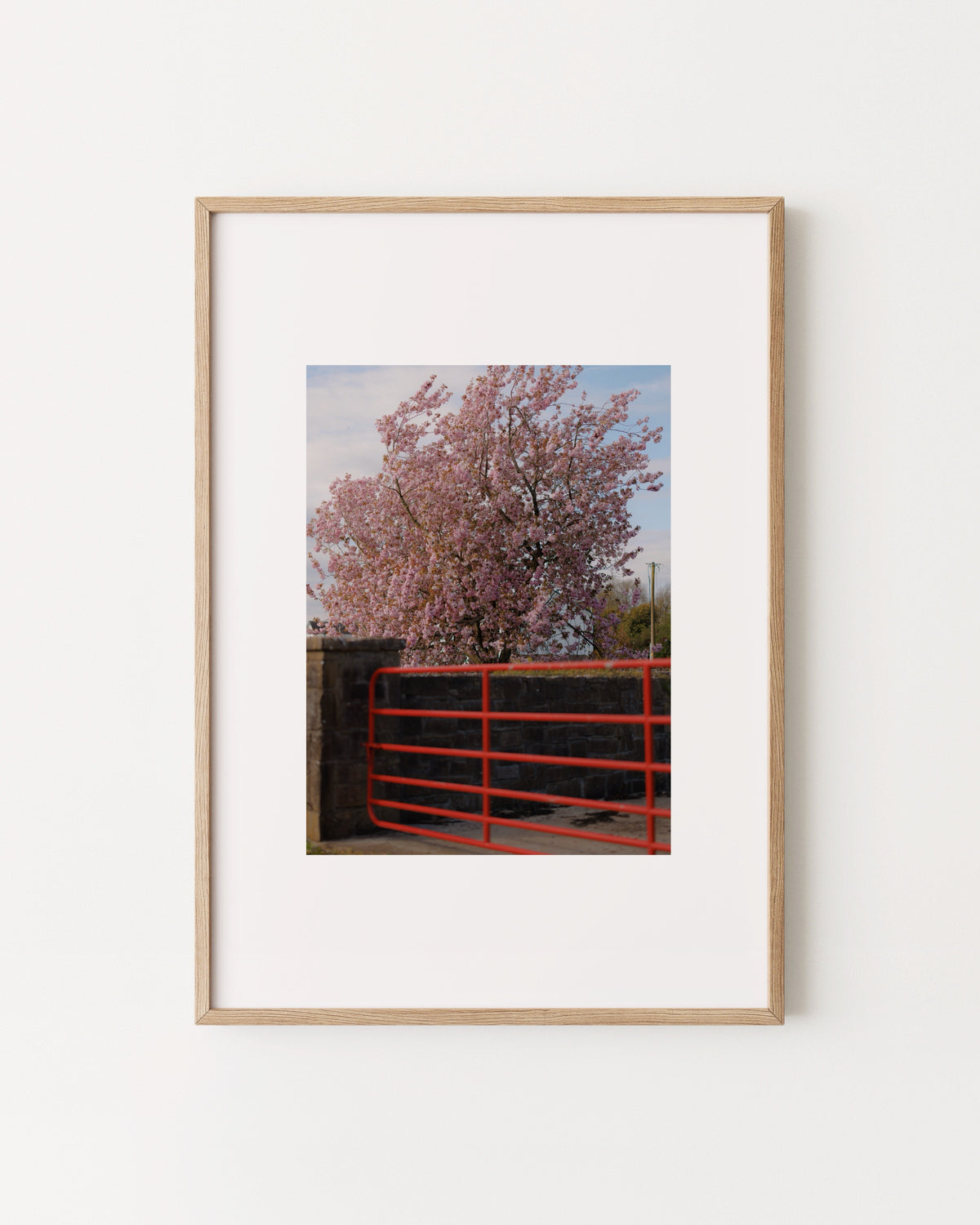 Spring In Bloom. Red Gate Print