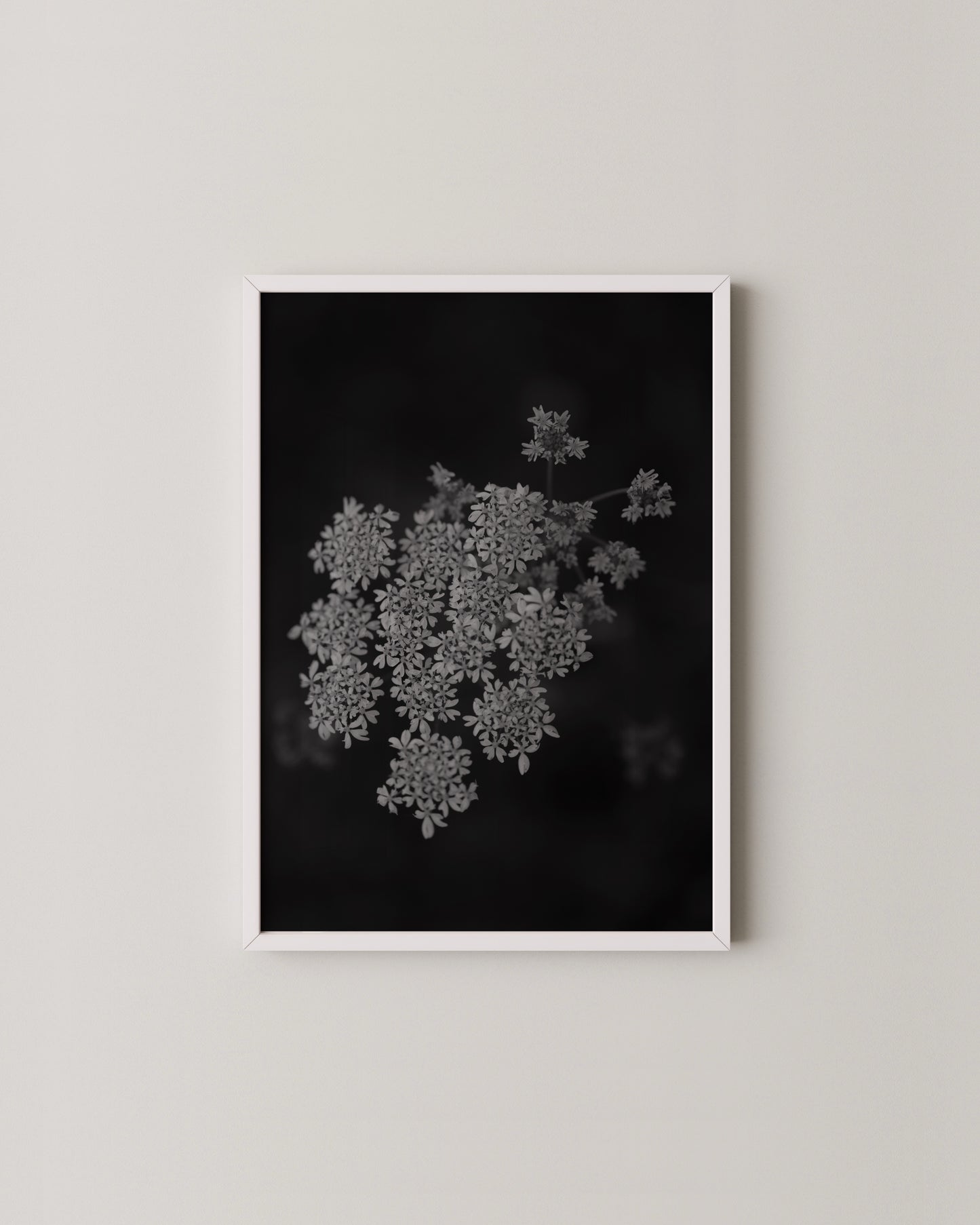 Fine Art Horse Gallery- Wall Art -Paperhus- Printable wall art - Instant downloads - DIY home decor -Paperhus