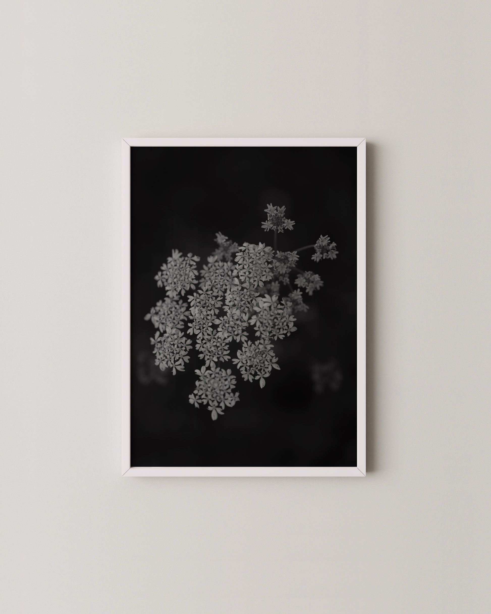 Fine Art Horse Gallery- Wall Art -Paperhus- Printable wall art - Instant downloads - DIY home decor -Paperhus