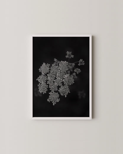 Fine Art Horse Gallery- Wall Art -Paperhus- Printable wall art - Instant downloads - DIY home decor -Paperhus