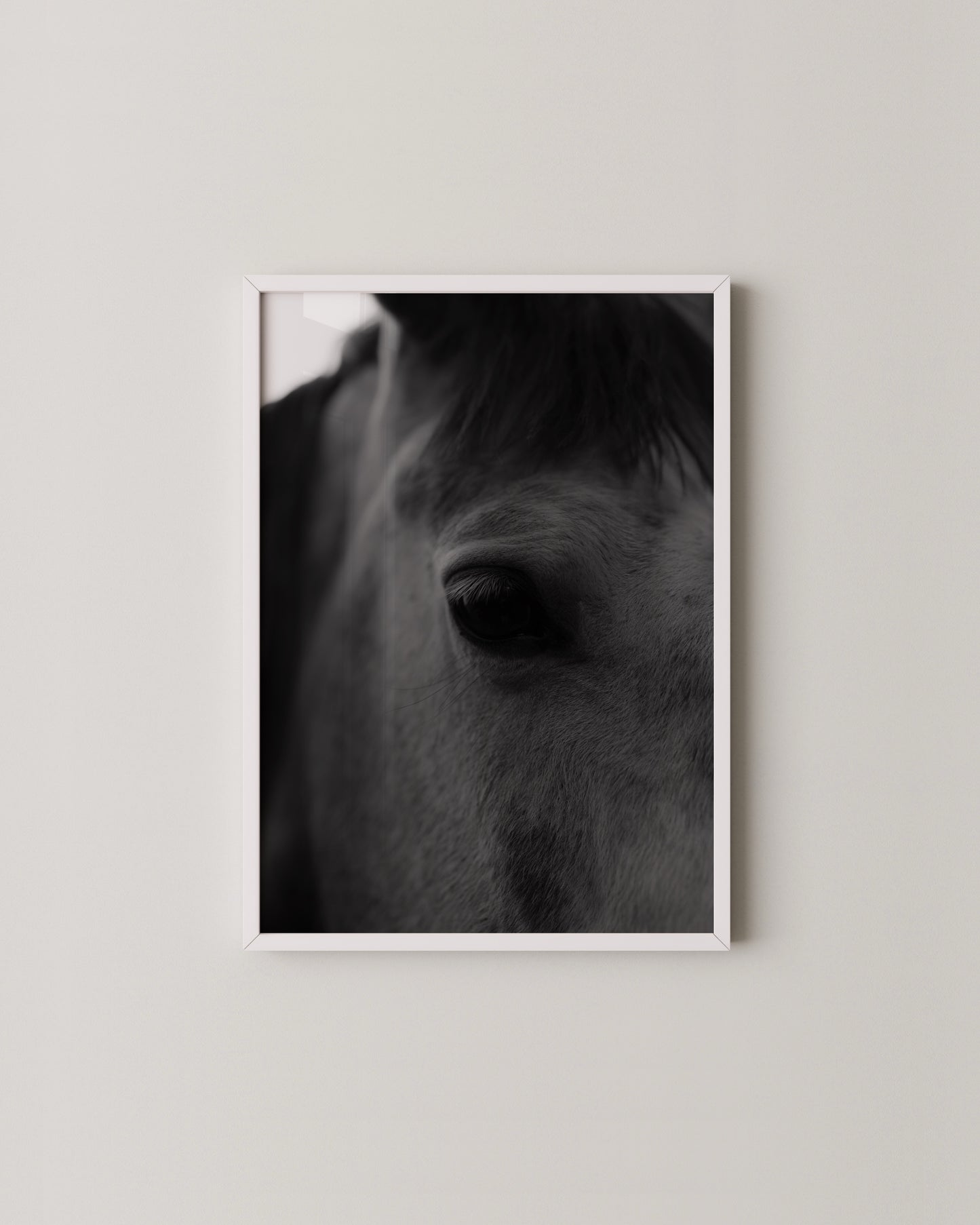 Fine Art Horse Gallery- Wall Art -Paperhus- Printable wall art - Instant downloads - DIY home decor -Paperhus