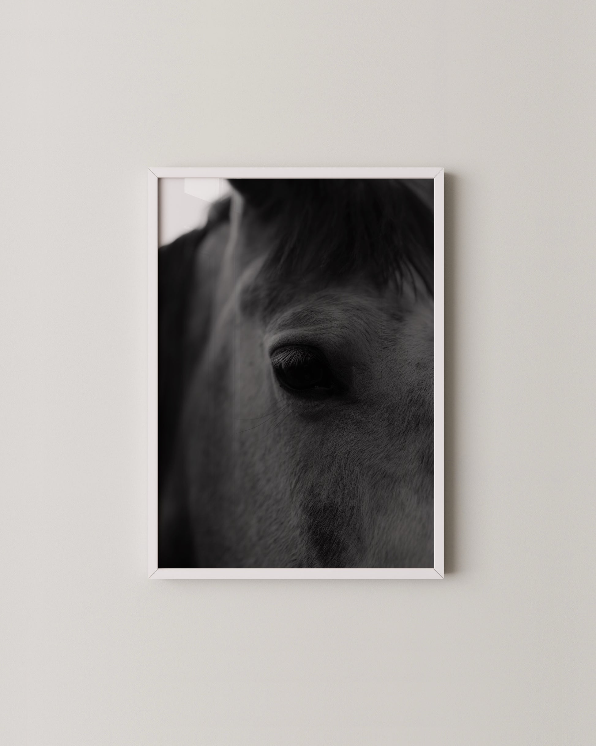 Fine Art Horse Gallery- Wall Art -Paperhus- Printable wall art - Instant downloads - DIY home decor -Paperhus