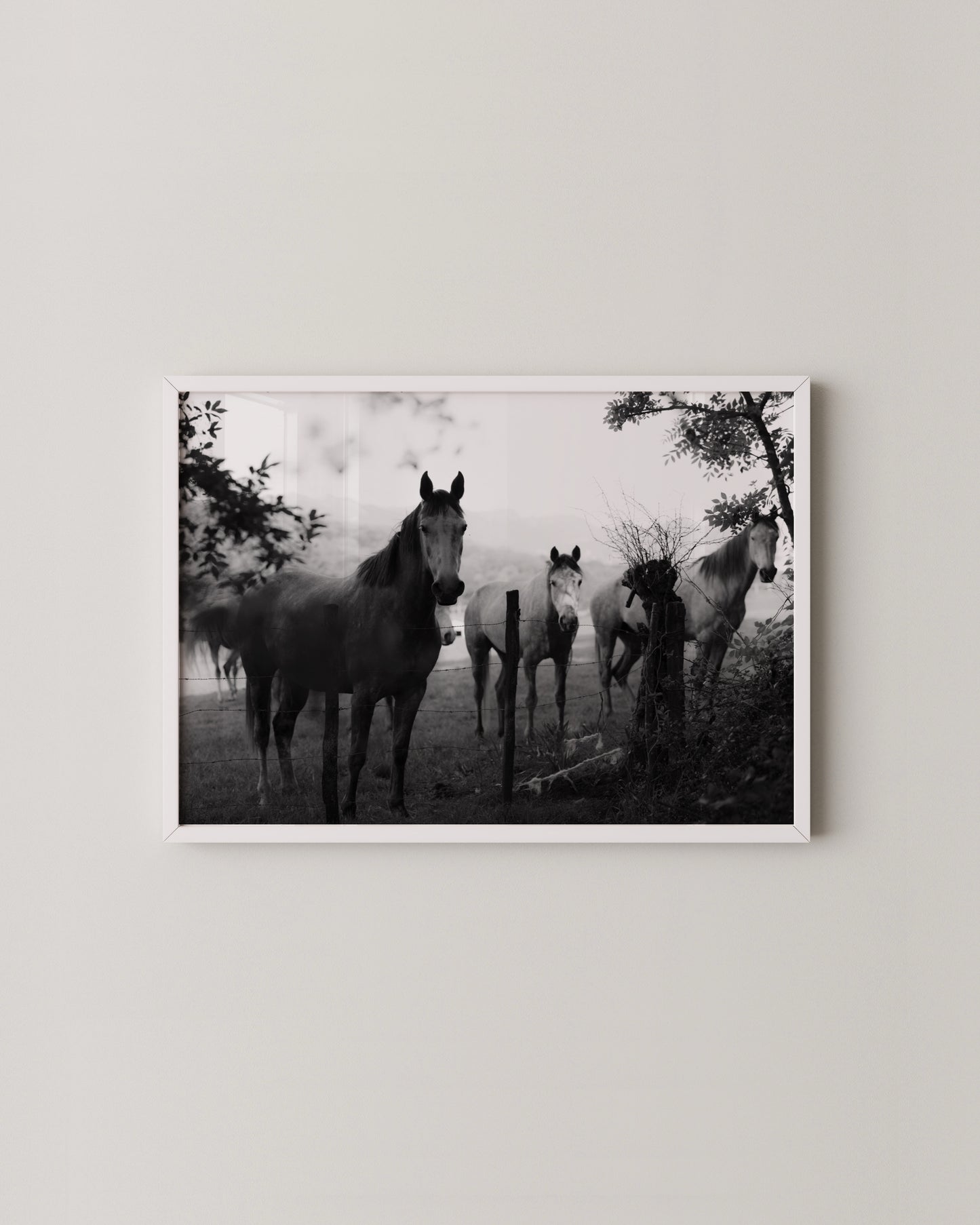 Fine Art Horse Gallery- Wall Art -Paperhus- Printable wall art - Instant downloads - DIY home decor -Paperhus
