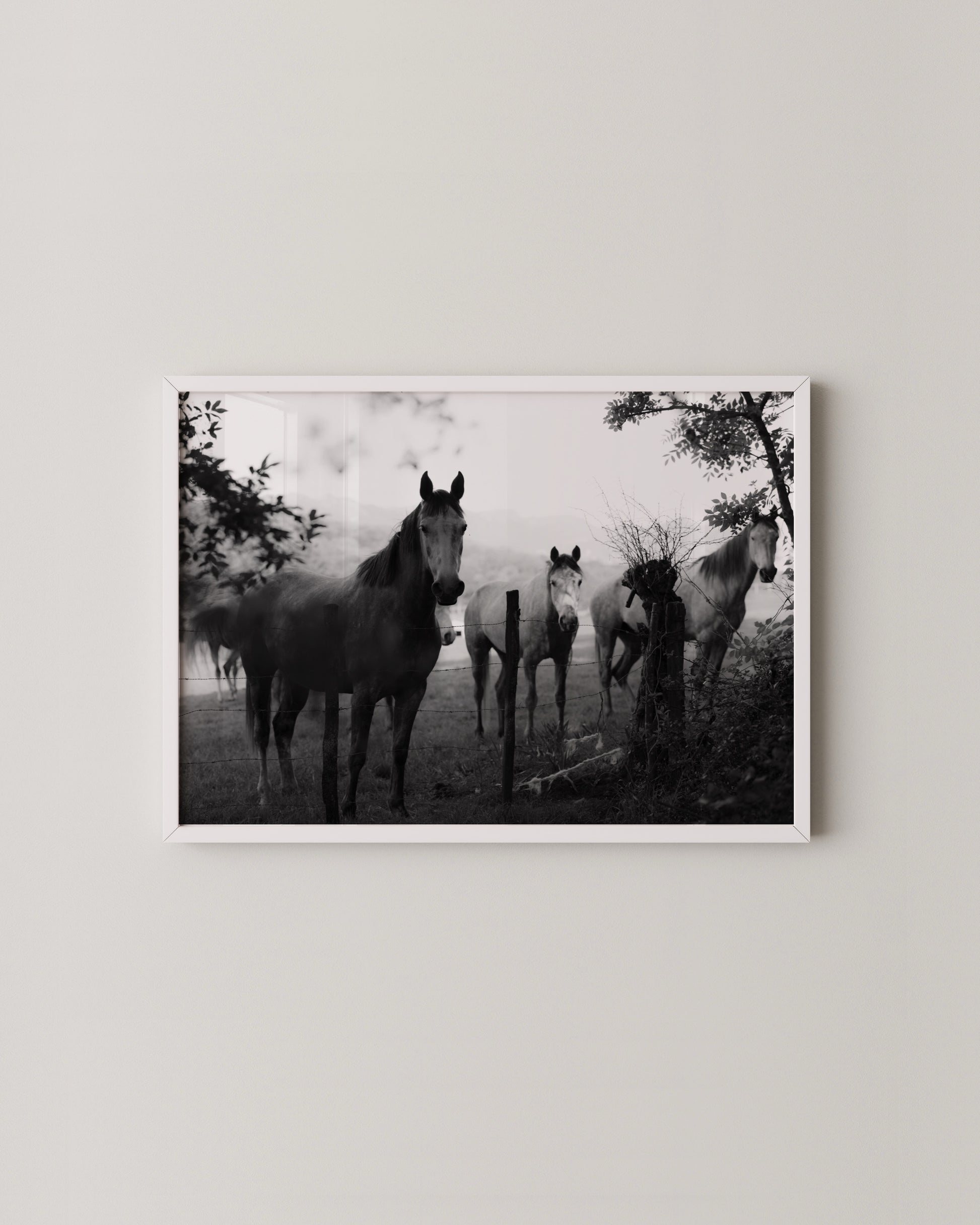 Fine Art Horse Gallery- Wall Art -Paperhus- Printable wall art - Instant downloads - DIY home decor -Paperhus