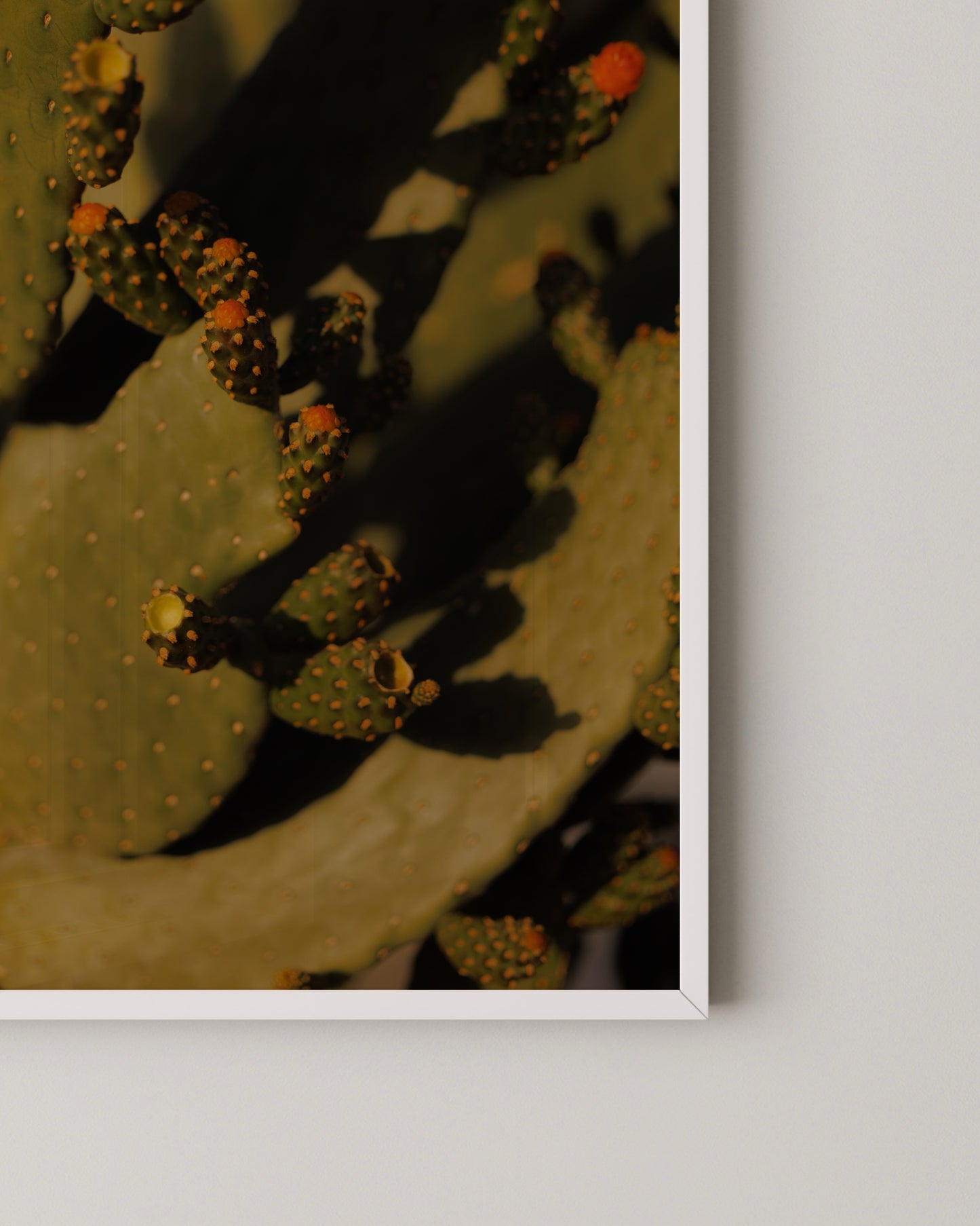 Cactus Photography Print- Wall Art -Paperhus- Printable wall art - Instant downloads - DIY home decor -Paperhus