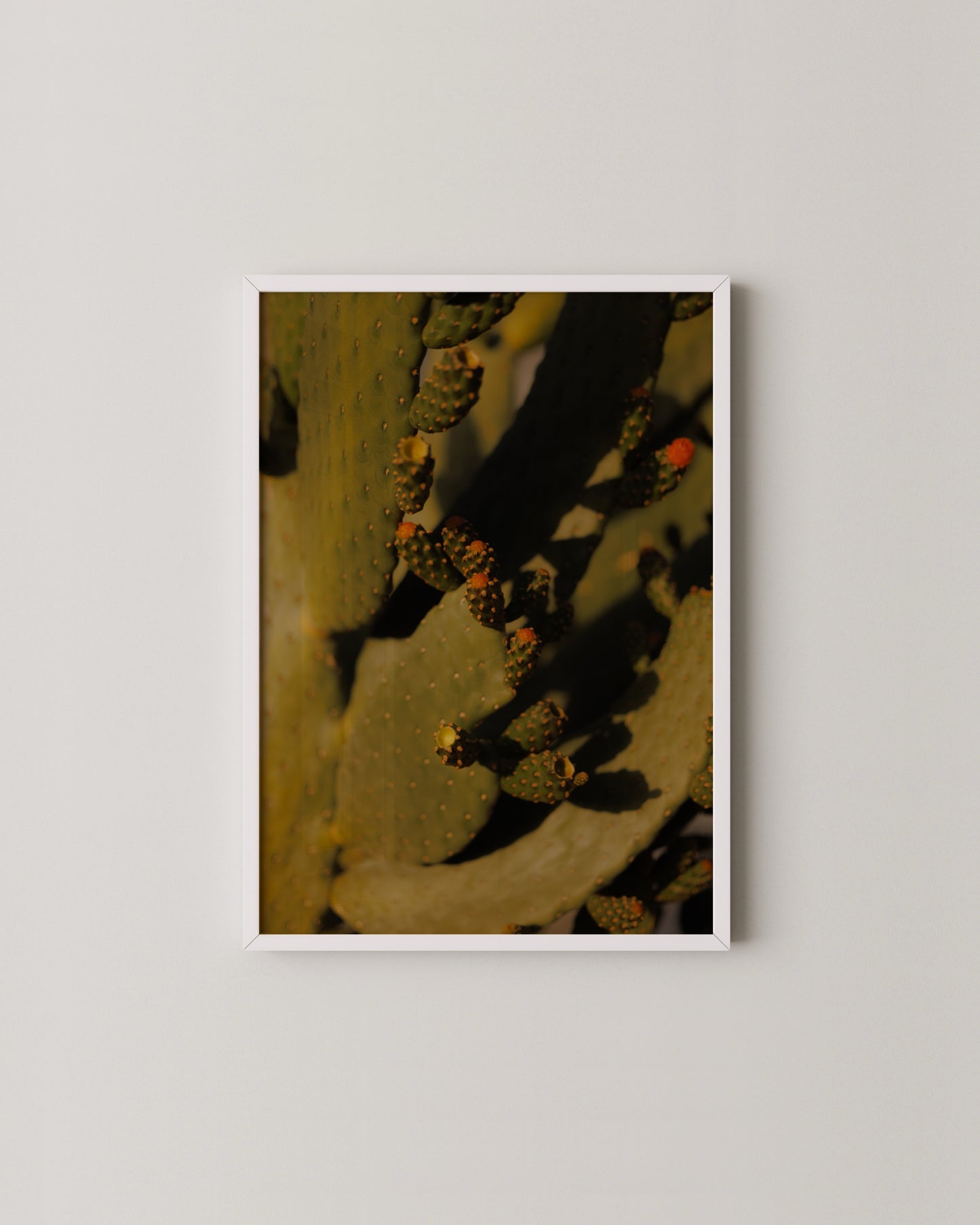 Cactus Photography Print- Wall Art -Paperhus- Printable wall art - Instant downloads - DIY home decor -Paperhus