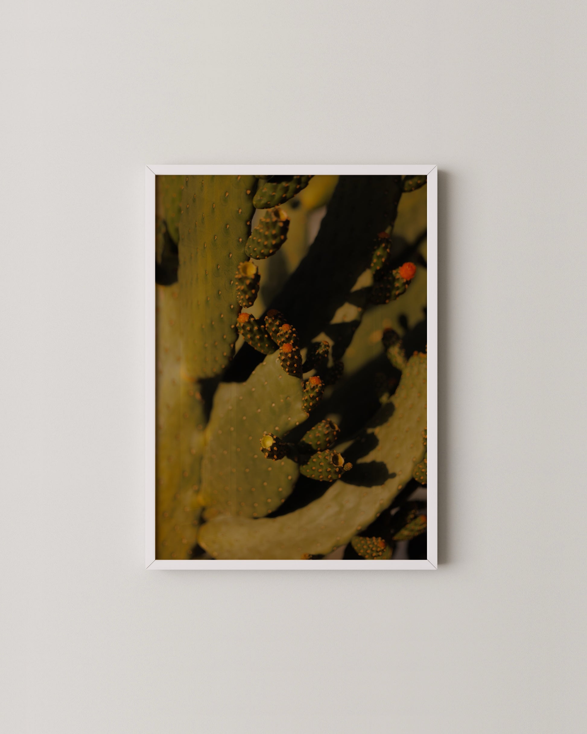 Cactus Photography Print- Wall Art -Paperhus- Printable wall art - Instant downloads - DIY home decor -Paperhus