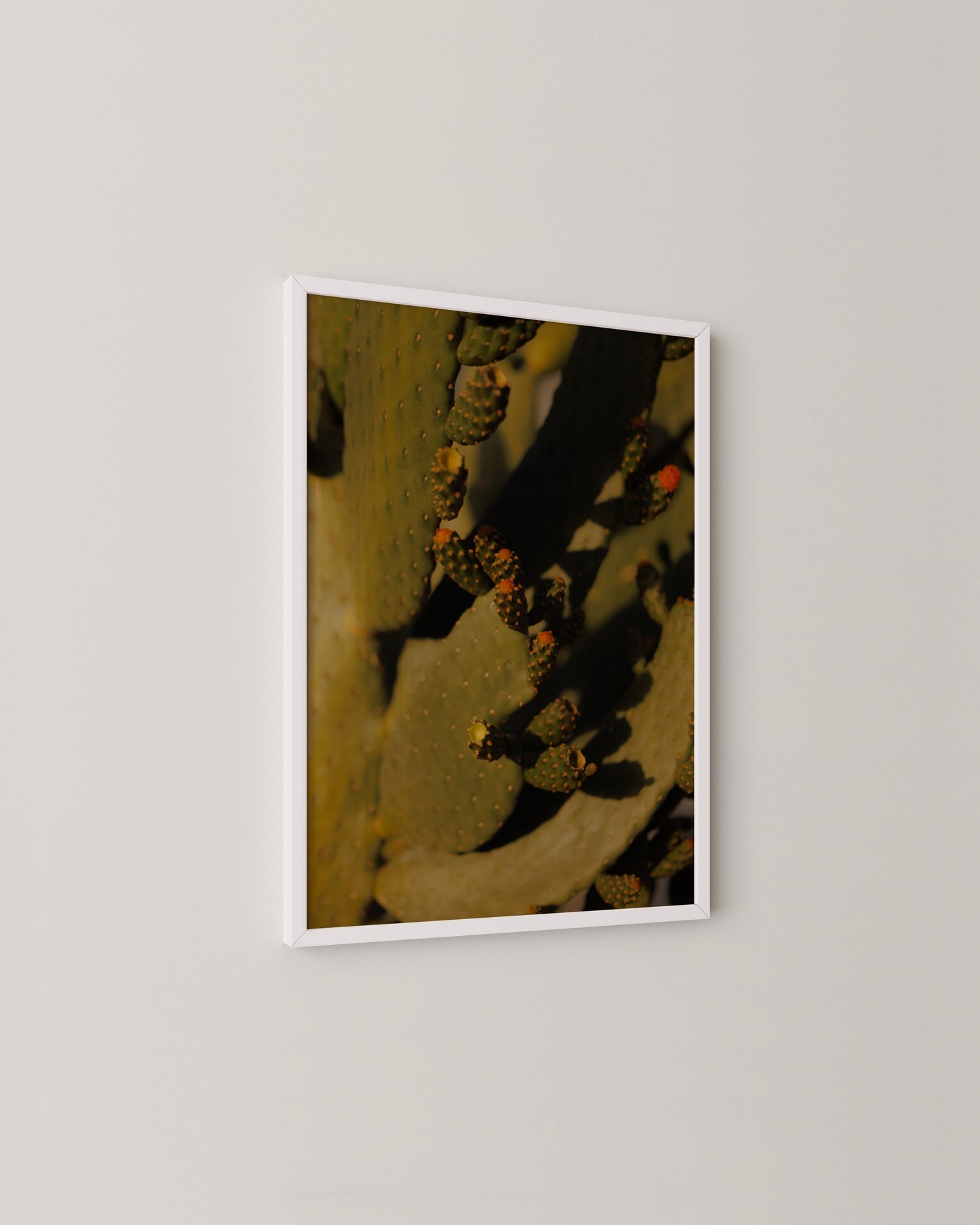 Cactus Photography Print- Wall Art -Paperhus- Printable wall art - Instant downloads - DIY home decor -Paperhus