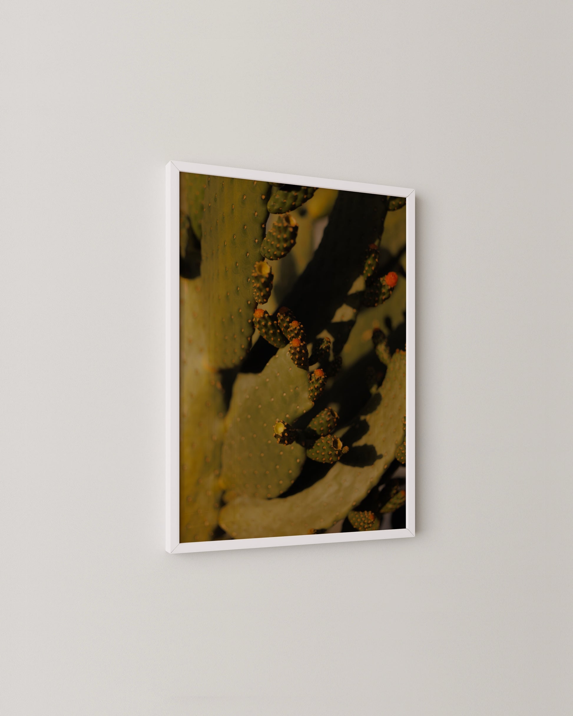 Cactus Photography Print- Wall Art -Paperhus- Printable wall art - Instant downloads - DIY home decor -Paperhus